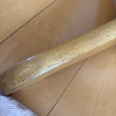 商談中★レディース Mサイズ トルソー マネキン 裁縫 撮影などにの画像