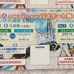 ナガシマスパーランド　パスポート券　4枚の画像