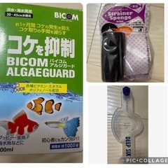 熱帯魚用水槽セットの画像