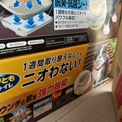 猫のトイレ🐈の画像
