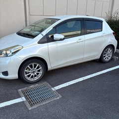 TOYOTA vitz (ビッツ)の画像