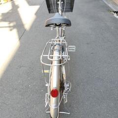 シルバータイプ全塗装パパチャリの画像