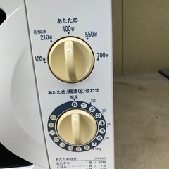 電子レンジ2011の画像