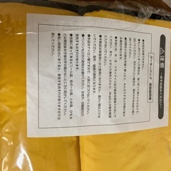 新品　クーラーバッグ　& ランタン　セットの画像