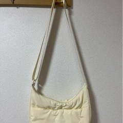 手渡し決定Wegoバッグの画像