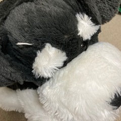 犬、シュナウザーのぬいぐるみの画像