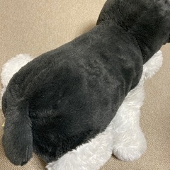 犬、シュナウザーのぬいぐるみの画像