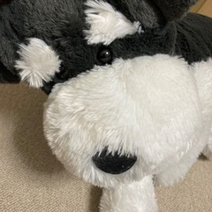 犬、シュナウザーのぬいぐるみの画像