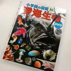 0429-537 図鑑