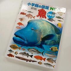 0429-538 図鑑