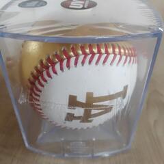 2024MLBワールドシリーズ　LAドジャースチャンピオンボールの画像