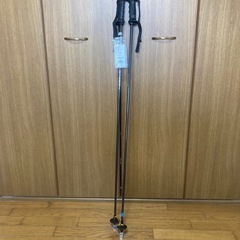 キザキ　スキーストック