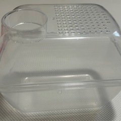 【早い者勝ち】ハムスター飼育セット一式の画像