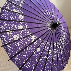 七五三 和傘の画像