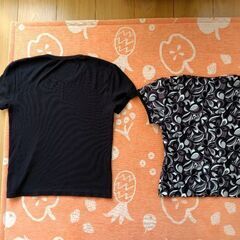 エンポリオアルマーニ Tシャツ黒（S）とReebokスポーツシャツ（S）の画像