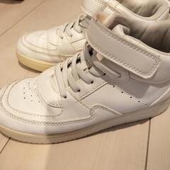 H＆Mスニーカーの画像