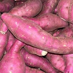 熊本県産 紅はるか さつまいも 20kg 送料無料！の画像