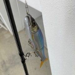 ディアルーナbs  スコーピオンdc200xgの画像