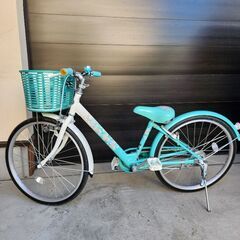 引取先決定済【子供用自転車】ブリヂストン エコパル 女の子 22インチ（美品）の画像