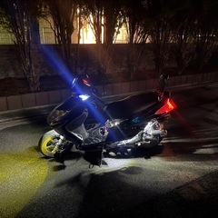 シグナス2型　国内の画像
