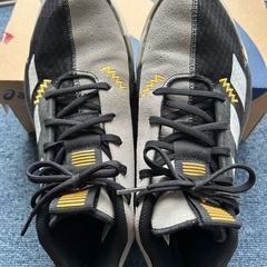 adidasバッシュの画像