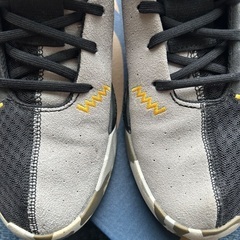 adidasバッシュの画像