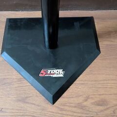 500円　未使用　ティーバッティング　（DVDなし）の画像