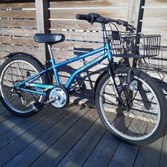 22インチ  ジュニアマウンテンバイク DRIDE 6段変速 ダ...
