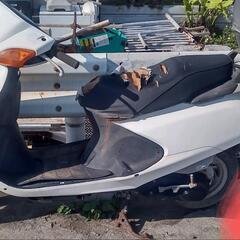 受け付け一旦中止させて下さい🙏。ホンダスペイシー100の画像