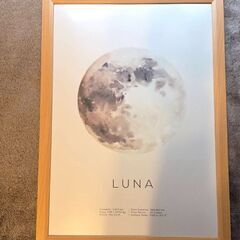 【無料】A3サイズ ポスターフレーム2枚セットお譲りします✨ポスターや写真に！の画像