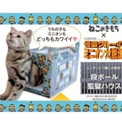 ミニオンと一緒に大脱走！段ボール監獄ハウス
