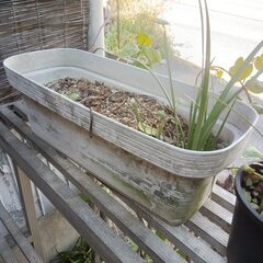 植木鉢、プランターなど【詳細を読んでから問い合わせしてください】の画像