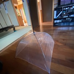 お風呂でサウナ傘