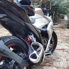 鈴木ジグサーSF150の画像