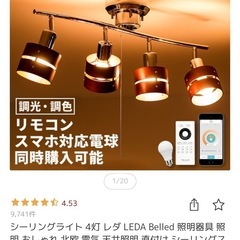 シーリングライト LED電球付き