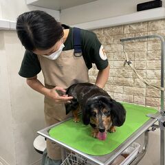 【正社員募集】自由が丘のペットサロン物販スタッフ★犬好き歓迎！の画像