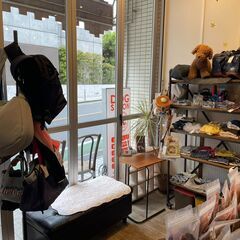 【正社員募集】自由が丘のペットサロン物販スタッフ★犬好き歓迎！の画像