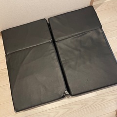犬の階段ドッグステップ2つの画像