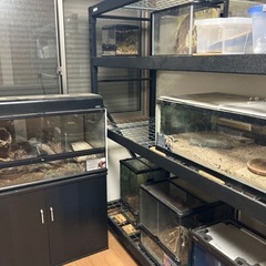 ペット用品　爬虫類　両生類の画像