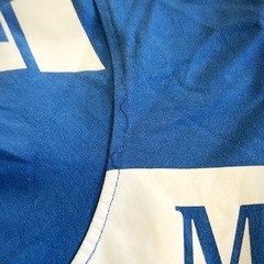 VIOLA MILANO 長袖カットソー \ロンT (M) オールシーズン対応の画像