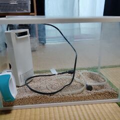 水槽セット
