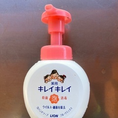 きれいきれい