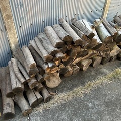 針葉樹　広葉樹　薪にどうぞの画像