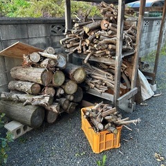 針葉樹　広葉樹　薪にどうぞの画像