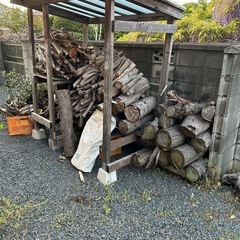 針葉樹　広葉樹　薪にどうぞの画像