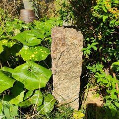 石柱高・高さ約53cm