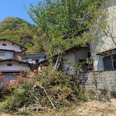桜の木とその他枝