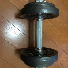 10kgのダンベルとプッシュバー