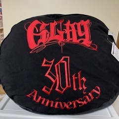 GIGO限定 GLAY フェイスクッション 30th teruの画像