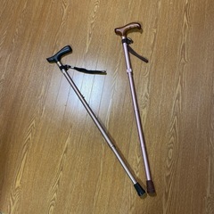 杖